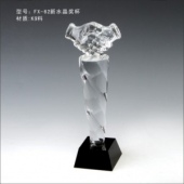 FX-62新水晶奖杯