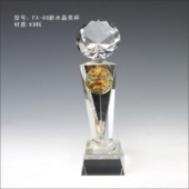 FX-66新水晶奖杯