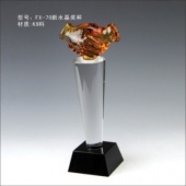 FX-70新水晶奖杯