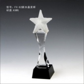FX-82新水晶奖杯