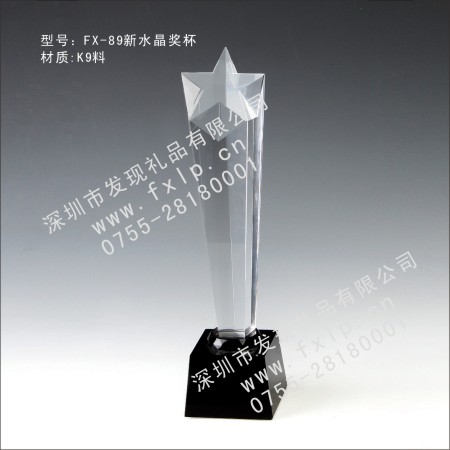 FX-89新水晶奖杯 