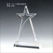 FX-110新水晶奖杯