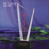 FX-009纪念奖章